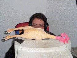 Hacki und datt Huhn